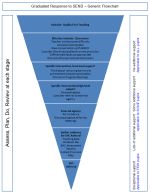 Diagram shows process needed to support children and young people to achieve their learning outcomes.